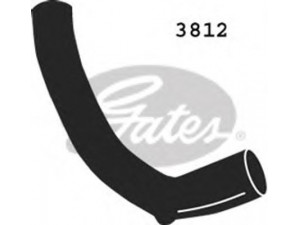 GATES 3812 radiatoriaus žarna 
 Aušinimo sistema -> Žarnelės/vamzdeliai/sujungimai -> Radiatoriaus žarnos
7700822051