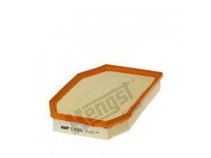 HENGST FILTER E1039L oro filtras 
 Techninės priežiūros dalys -> Techninės priežiūros intervalai
13 71 7 590 597, 1371 7590597-01