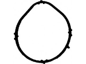 REINZ 71-35381-00 tarpiklis, įsiurbimo kolektorius 
 Variklis -> Cilindrų galvutė/dalys -> Įsiurbimo kolektoriaus tarpiklis/sandarinimo žiedas
166 141 03 80