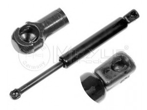 MEYLE 240 161 0043 dujinė spyruoklė, gaubtas 
 Kėbulas -> Dujinės spyruoklės
163 880 00 29