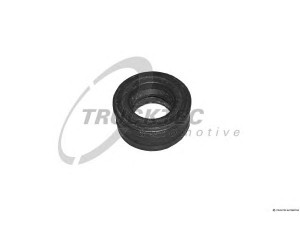 TRUCKTEC AUTOMOTIVE 03.10.035 sandarinimo žiedas, cilindro galvos dangtelio varžtas
3964604