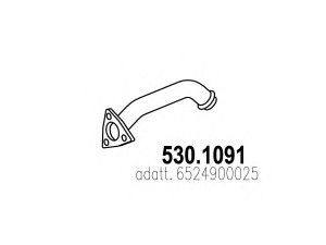 ASSO 530.1091 išleidimo kolektorius
6524900025