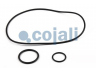 COJALI 6019015 remonto komplektas, darbinis cilindras; remonto komplektas