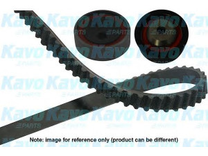 KAVO PARTS DKT-5554 paskirstymo diržo komplektas 
 Techninės priežiūros dalys -> Papildomas remontas