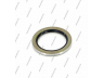 NPS T470A43B rato guolio komplektas
9031170011