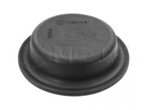 MEYLE 034 042 0043 membrana, membranins cilindras 
 Suspausto oro sistema -> Stabdžiai/vykdomasis cilindras -> Diafragm. stabdžių cilindras
0695 751, 695751, 0993 2516, 9932516