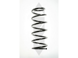 SPIDAN 48498 spyruoklė 
 Pakaba -> Spyruoklės
312 009, 90444712