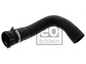 FEBI BILSTEIN 46243 radiatoriaus žarna
1 517 770