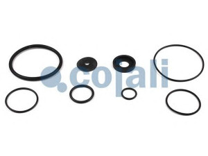 COJALI 6014419 remonto komplektas, greitinimo vožtuvas