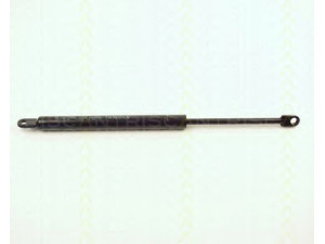 TRISCAN 8710 389 dujinė spyruoklė