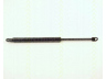 TRISCAN 8710 389 dujinė spyruoklė
