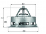 MAHLE ORIGINAL TX 2 79 termostatas, aušinimo skystis 
 Aušinimo sistema -> Termostatas/tarpiklis -> Thermostat
1153 0 588 004, 0 228 842