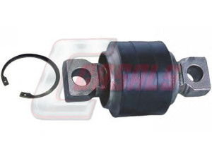 CASALS R6629 remonto komplektas, trauklė 
 Ašies montavimas/vairavimo mechanizmas/ratai -> Valdymo svirtis/pasukamosios svirties sujungimas -> Vairo trauklės (valdymo svirtis, išilginis balansyras, diago
42536819, 0003500906, 81432706127