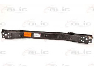 BLIC 6502-03-6049231P priekinis variklio gaubtas
77 00 820 656, 7700820656