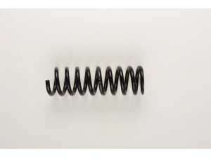 BILSTEIN 36-133642 spyruoklė 
 Pakaba -> Spyruoklės
202 324 09 04