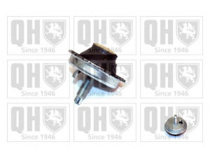 QUINTON HAZELL EM4144 variklio montavimas 
 Variklis -> Variklio montavimas -> Variklio montavimo rėmas
1844 74, 1844 A2