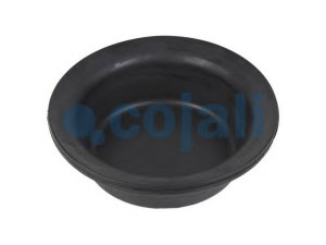 COJALI 6001113 membrana, spyruoklinis cilindras