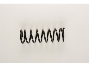 BILSTEIN 36-129898 spyruoklė 
 Pakaba -> Spyruoklės
82 AB 5310 EA