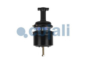 COJALI 2351422 spyruoklinis stabdžių cilindras