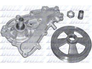 DOLZ R147ST vandens siurblys 
 Aušinimo sistema -> Vandens siurblys/tarpiklis -> Vandens siurblys
7701467642