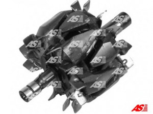 AS-PL AR1001 rotorius, kintamosios srovės generatorius