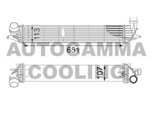 AUTOGAMMA 105097 tarpinis suslėgto oro aušintuvas, kompresorius 
 Variklis -> Oro tiekimas -> Įkrovos agregatas (turbo/superįkrova) -> Tarpinis suslėgto oro aušintuvas
144960001R