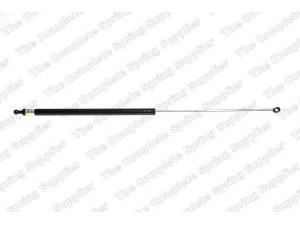ROC GS0194 dujinė spyruoklė, bagažinė 
 Priedai -> Bagažinė/pakrovimo skyrius
4424045
