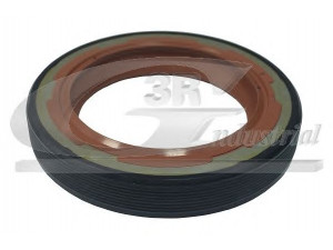 3RG 80437 veleno sandariklis, alkūninis velenas 
 Variklis -> Tarpikliai -> Radialinis alyvos sandariklis/komplektas
7903087019, 7910247576, 9606816980