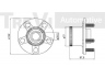 TREVI AUTOMOTIVE WB1769 rato guolio komplektas 
 Ašies montavimas/vairavimo mechanizmas/ratai -> Rato stebulė/montavimas -> Rato guolis
96219474