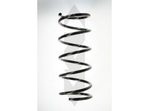 SPIDAN 55773 spyruoklė 
 Pakaba -> Spyruoklės
MR316590