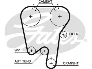 GATES 5378XS paskirstymo diržas 
 Techninės priežiūros dalys -> Papildomas remontas
7439135733, 7439180954, 271834