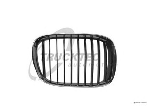 TRUCKTEC AUTOMOTIVE 08.62.250 radiatorius grotelės
51 13 8 159 316