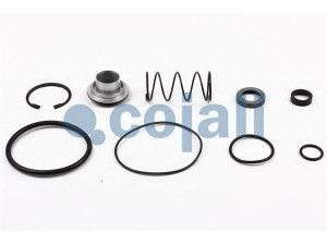 COJALI 6012156 remonto komplektas, greitinimo vožtuvas