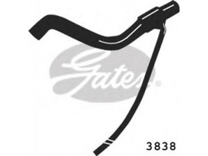 GATES 3838 radiatoriaus žarna
357121101E