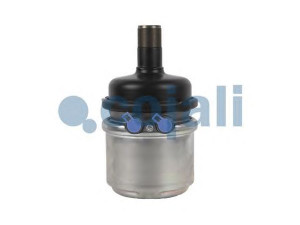 COJALI 2351421 spyruoklinis stabdžių cilindras