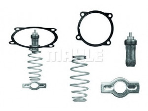 MAHLE ORIGINAL TX 51 79D termostatas, aušinimo skystis 
 Aušinimo sistema -> Termostatas/tarpiklis -> Thermostat
504071087