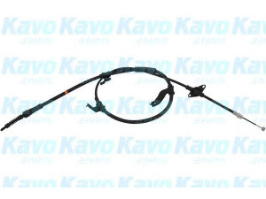 KAVO PARTS BHC-3101 trosas, stovėjimo stabdys 
 Stabdžių sistema -> Valdymo svirtys/trosai
597703K000