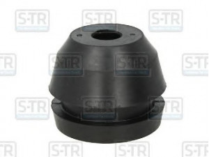 S-TR STR-120218 variklio montavimas 
 Variklis -> Variklio montavimas -> Variklio montavimo rėmas
2665901, 81.96020.0340, 81.96020.0372