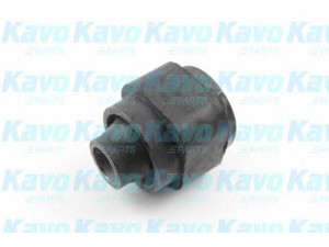 KAVO PARTS SCR-4545 valdymo svirties/išilginių svirčių įvorė 
 Ašies montavimas/vairavimo mechanizmas/ratai -> Valdymo svirtis/pasukamosios svirties sujungimas -> Montavimas/sutvirtinimas
T00134460C