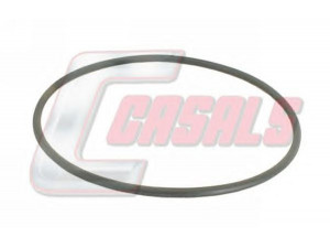 CASALS 9654 dangtelis, rato guolis