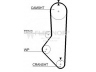 FLENNOR 4974 paskirstymo diržas 
 Techninės priežiūros dalys -> Papildomas remontas
F805-12-205, F806-12-205, F808-12-205