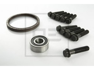PE Automotive 010.043-00A remonto komplektas, smagratis