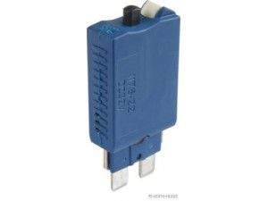 HERTH+BUSS ELPARTS 50295927 automatinis saugiklis
A 002 545 5534