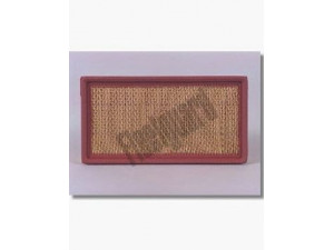 FLEETGUARD AF25256 oro filtras 
 Filtrai -> Oro filtras
25098463, A1163C