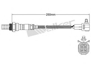 WALKER PRODUCTS 250-24770 lambda jutiklis
1821380J10
