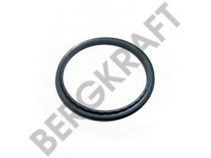 BERGKRAFT BK8005800 veleno sandariklis, rato stebulė
09400017, 9400017, 02.5664.56.64