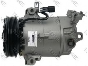 TEAMEC 8600254 kompresorius, oro kondicionierius 
 Oro kondicionavimas -> Kompresorius/dalys
8200421255, 8200688814, 8200892677