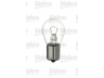 VALEO 032101 lemputė, indikatorius; lemputė, priekinis žibintas; lemputė, galinis žibintas; lemputė, stabdžių žibintas; lemputė, valstybinio numerio apšvietimas; lemputė, galinis rūko žibintas; lemputė, atbulinės eigos žibintas; lemputė, galinis žibintas; lemputė, sal 
 Dviratė transporto priemonės -> Elektros įranga -> Kombinuotas galinis žibintas/dalys -> Kombinuoto galinio žibinto lemputė