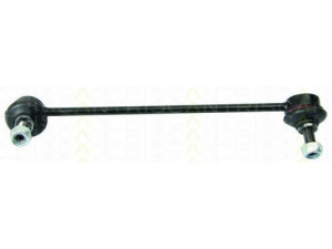TRISCAN 8500 25613 šarnyro stabilizatorius 
 Ašies montavimas/vairavimo mechanizmas/ratai -> Stabilizatorius/fiksatoriai -> Savaime išsilyginanti atrama
8200 050 191, 8200 714 448, 82 00 050 191