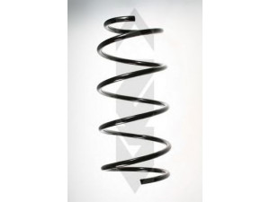 SPIDAN 49163 spyruoklė 
 Pakaba -> Spyruoklės
31 33 1 090 759